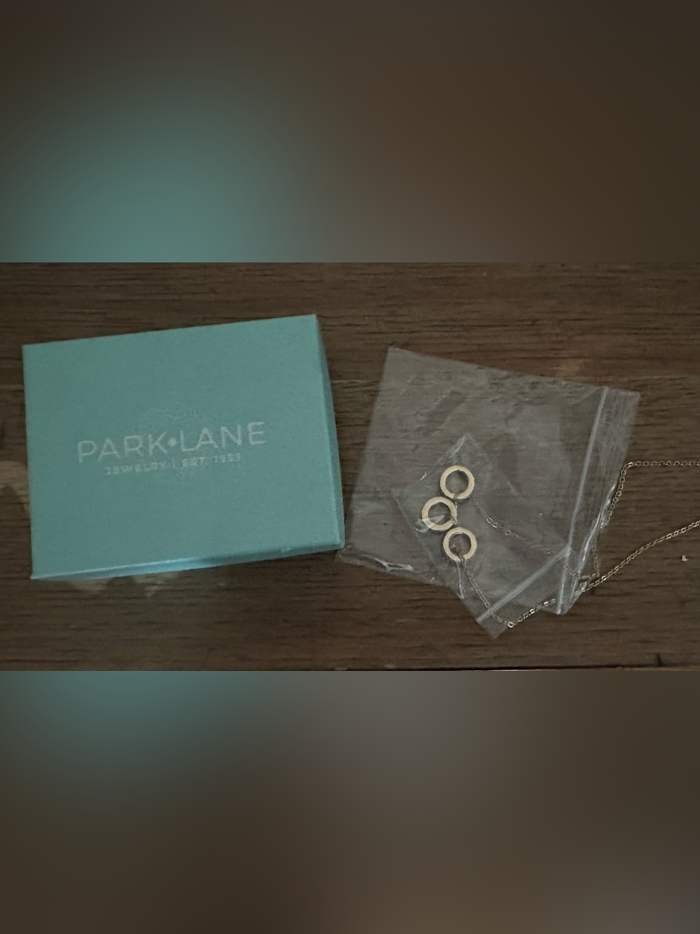 Park Lane Circle Pendant Necklace